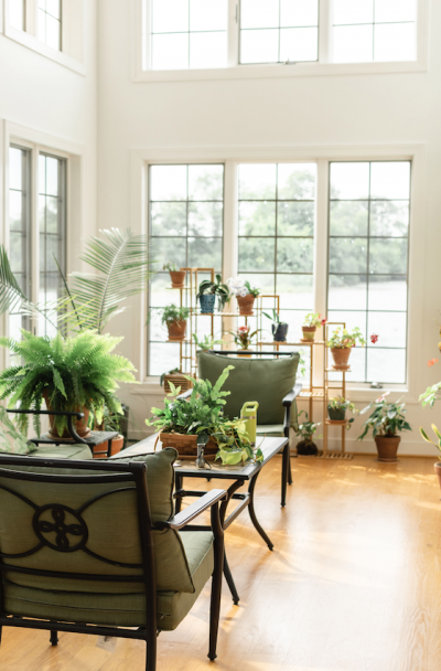 photo of a sun room with plants and a chair